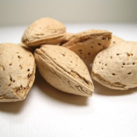 Mandle natural pražené Nutspread 1 kg